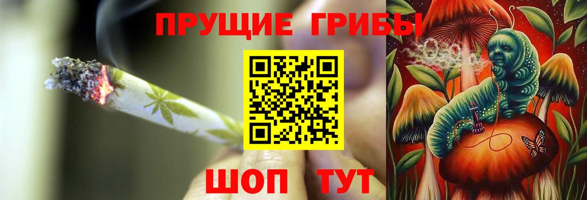 где можно купить   Галлюциногенные грибы Cubensis  Вход с VPN  Находка 