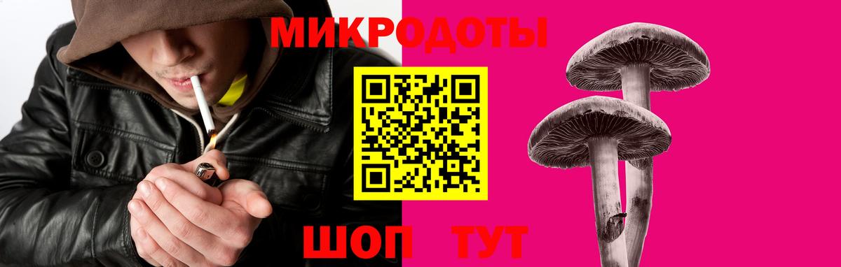 Псилоцибиновые грибы мицелий Находка